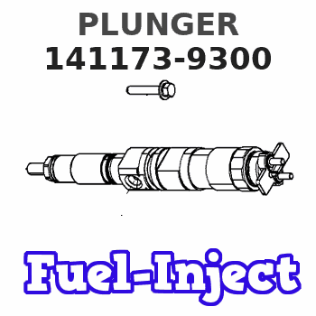 141173-9300 PLUNGER 