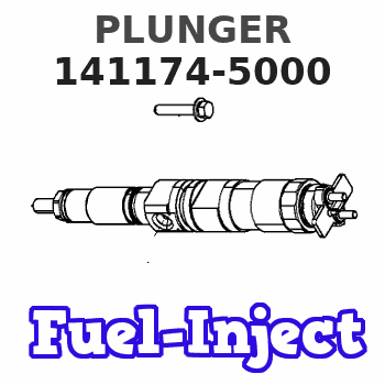 141174-5000 PLUNGER 