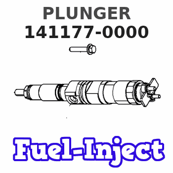 141177-0000 PLUNGER 