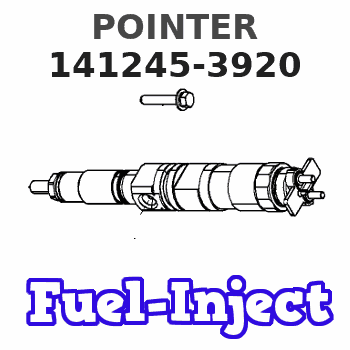 141245-3920 POINTER 