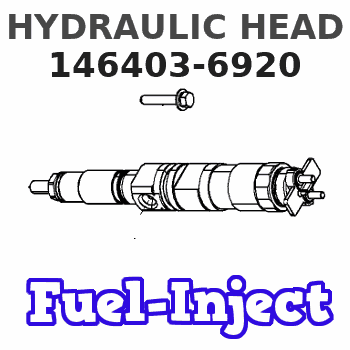 146403-6920 HYDRAULIC HEAD 