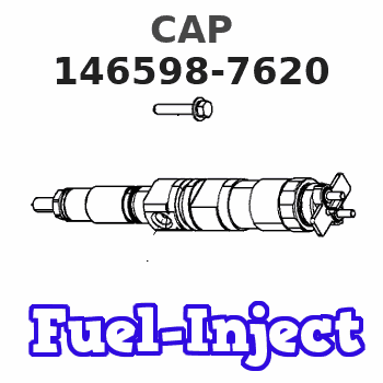 146598-7620 CAP 