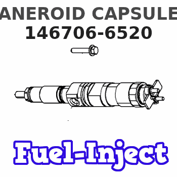 146706-6520 ANEROID CAPSULE 