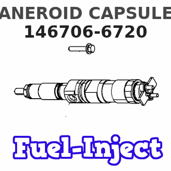 146706-6720 ANEROID CAPSULE 