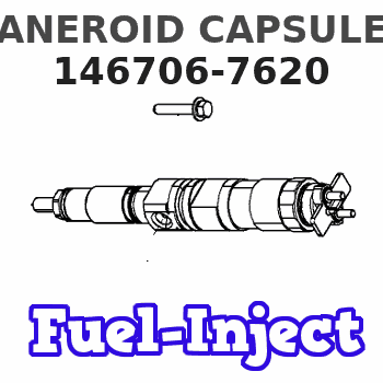 146706-7620 ANEROID CAPSULE 