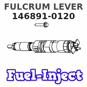 146891-0120 FULCRUM LEVER 