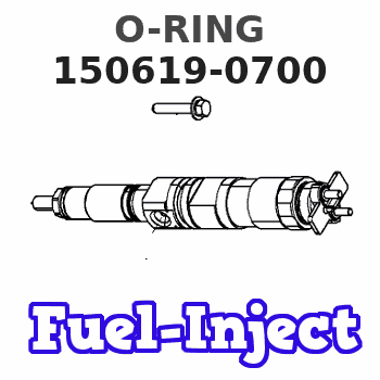 150619-0700 O-RING 