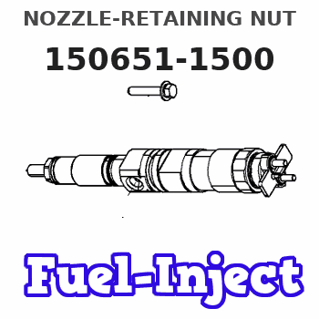 150651-1500 NOZZLE-RETAINING NUT 