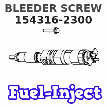 154316-2300 BLEEDER SCREW 