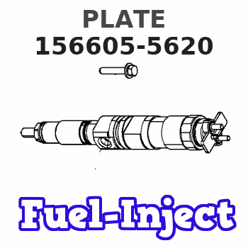156605-5620 PLATE 