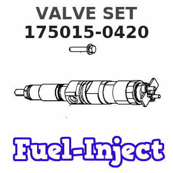 175015-0420 VALVE SET 